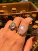 Moonstone Poison Ring - Oval / Teardrop (Limited Edition) - Jewels & Gems