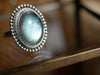 Labradorite Gala Ring - Jewels & Gems