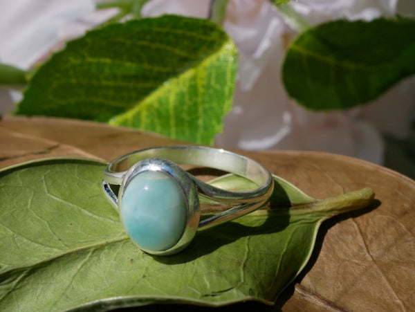 Larimar Ariel Ring - Small Oval (Double Band) - Jewels & Gems