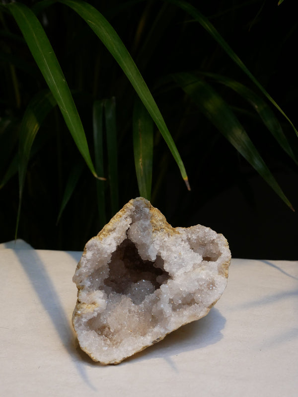 White Quartz Geode - Jewels & Gems