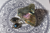 Labradorite Cassia Earrings - Jewels & Gems