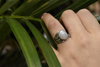 Moonstone Vesta Ring - Jewels & Gems