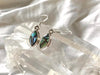 Abalone Shell Ari Earrings - Marquise - Jewels & Gems