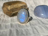 Moonstone Adjustable Ring - Reg. Oval - Jewels & Gems