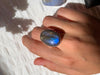 Labradorite Adjustable Ring - Reg. Oval - Jewels & Gems