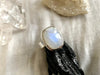 Moonstone Naevia Ring - Med. Square - Jewels & Gems