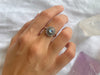 Moonstone Evanora Ring - Jewels & Gems
