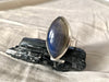 Labradorite Adjustable Ring - Chunky Marquise (One of a kind) - Jewels & Gems