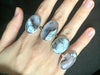 Dendritic Agate Ariel Ring - Medium Oval - Jewels & Gems