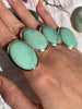 Variscite Naevia Ring - Large Oval - Jewels & Gems
