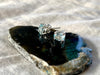Blue Topaz Sanaa Studs - Jewels & Gems